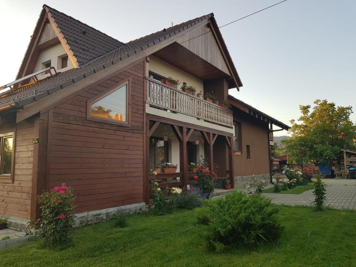 Pensiunea Rares Bistrita Bargaului Luaran gambar