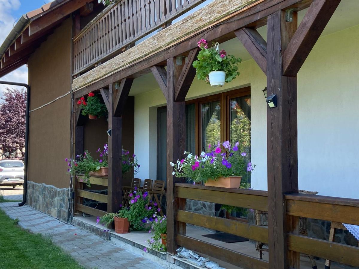 Pensiunea Rares Bistrita Bargaului Luaran gambar