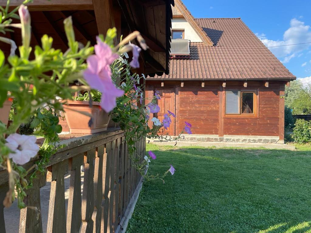 Pensiunea Rares Bistrita Bargaului Luaran gambar